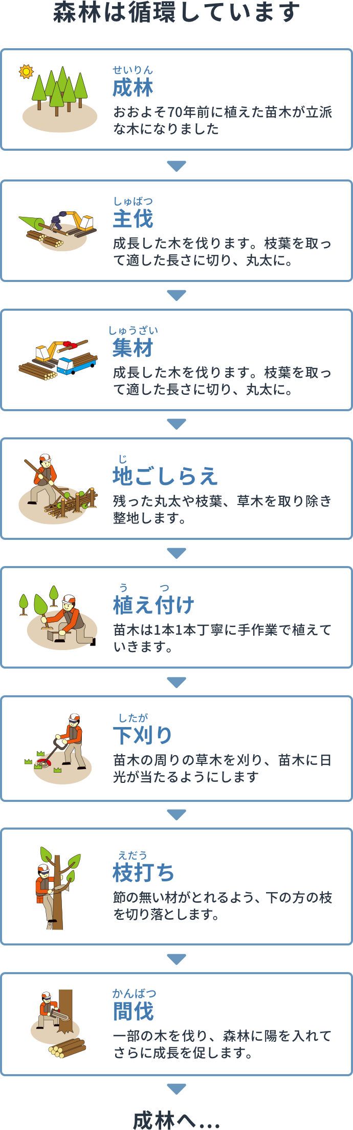 林業のサイクル図